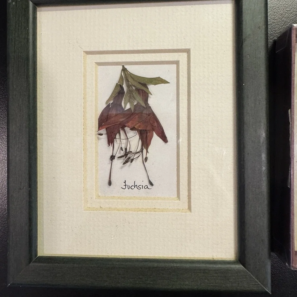 PRESSED DRIED Flowers Of Ireland  By Breda Hayden‎ & Irish Blessing ornament